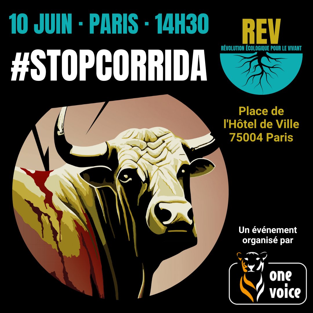 ... #Lorient, #Lyon, #Paris et #SaintEtienne.

#StopCorrida