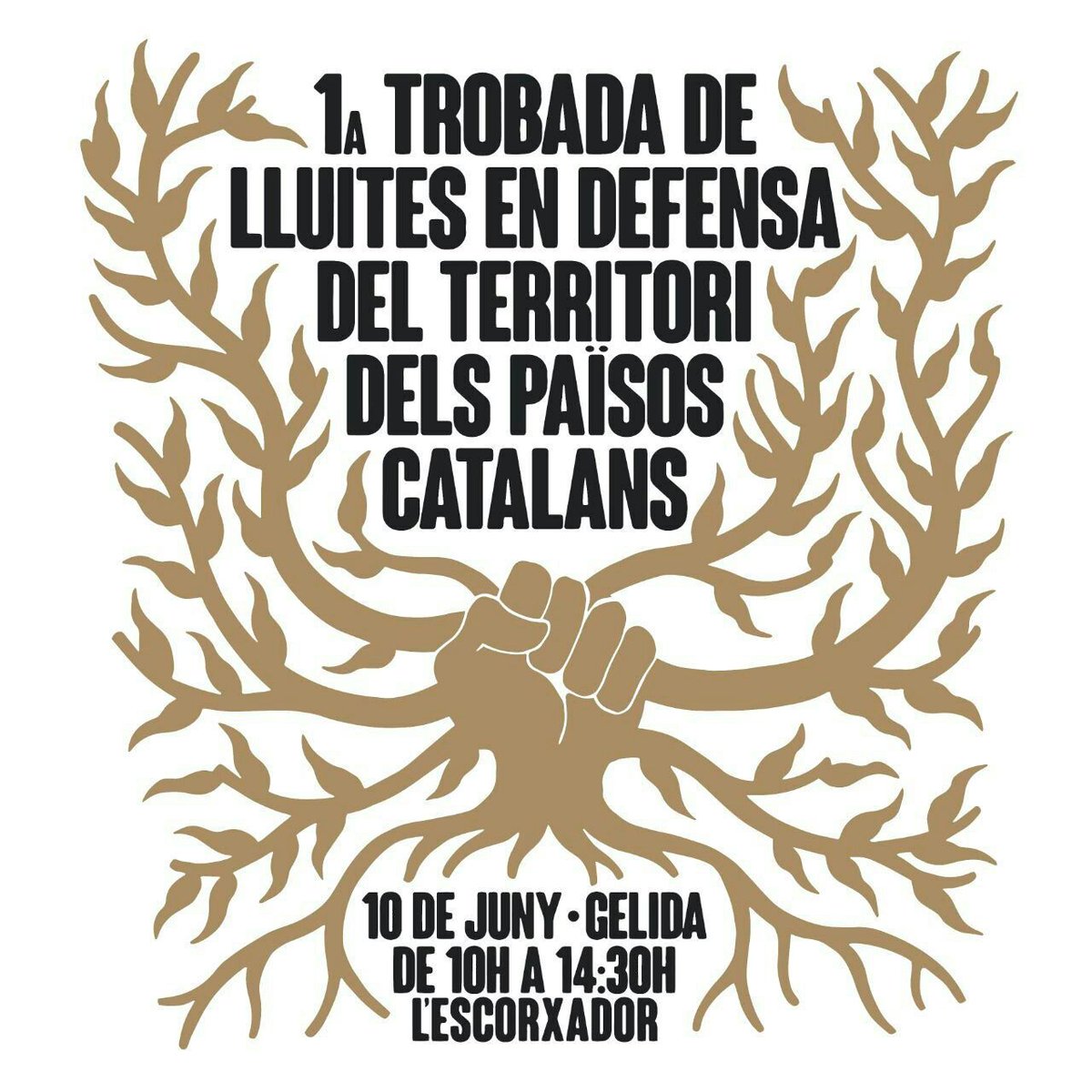 JaumeGrauLopez's tweet image. Comença la trobada de moviments socials en defensa del territori, a Gelida, acollits per @stopagroparc 
Ponència inaugural de @salut_camarada 
#ecologia #lluita #crisiecologica @ecologistes
