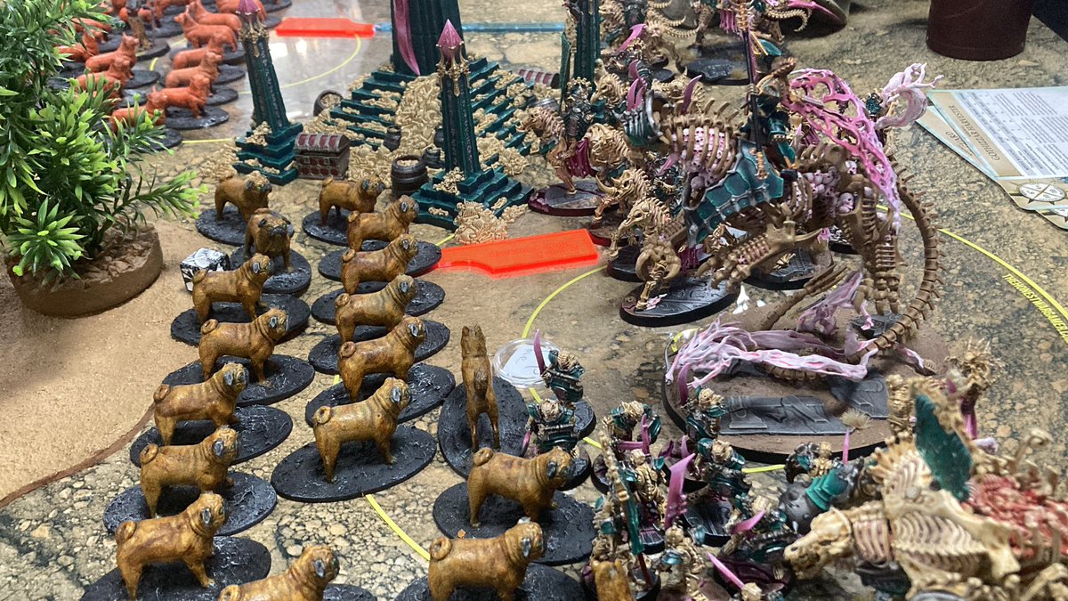 Tim Willoughby tweet media