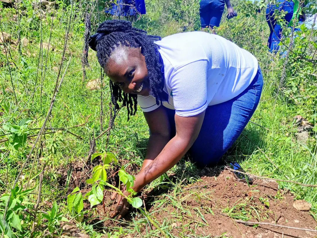 mms_kenya's tweet photo. To mark the end of #ngosweek2023, we joined @ngoboardkenya and Christian Partners Development Agency organization for a tree planting exercise at Maragoli Hills on Friday.
We donated 1000 tree seedlings towards this initiative.π³π±
#ngos #ngosweek2023 #trees
#makemesmile https://t.co/7HHBUojuuE