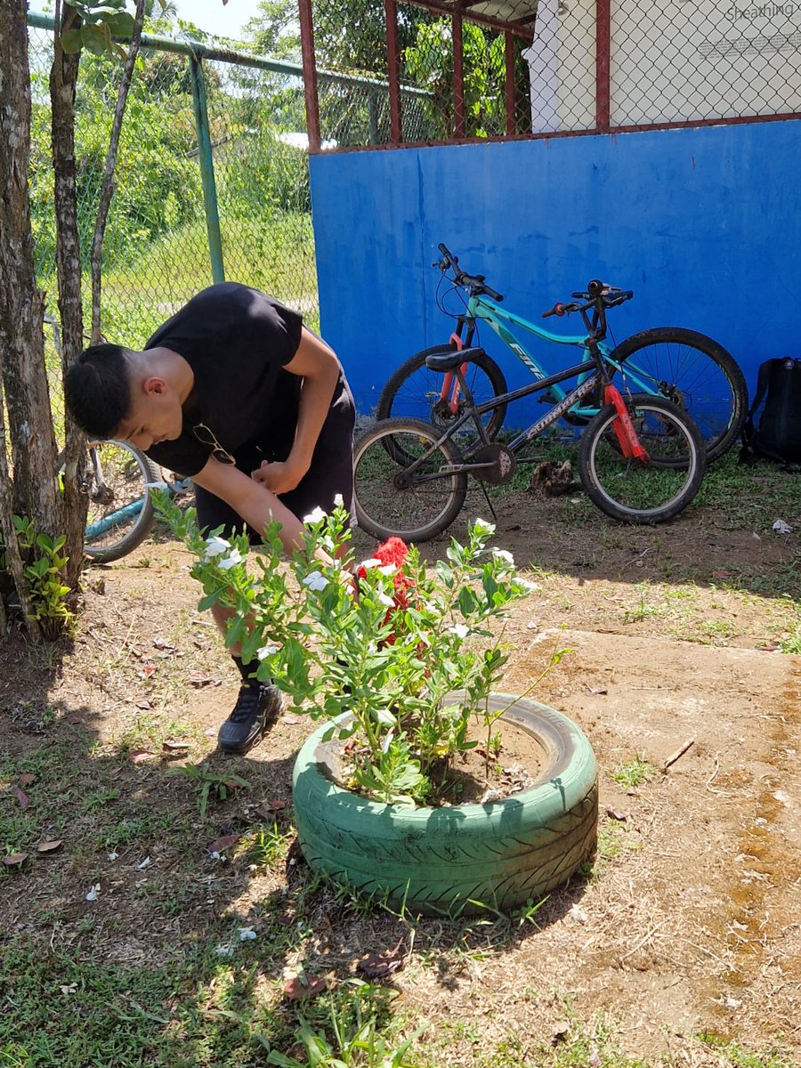 Our fab students are getting stuck in with painting and gardening at their parter school in #CostaRica! #community #internationalpartnership #turingscheme #Geography @TuringScheme_UK