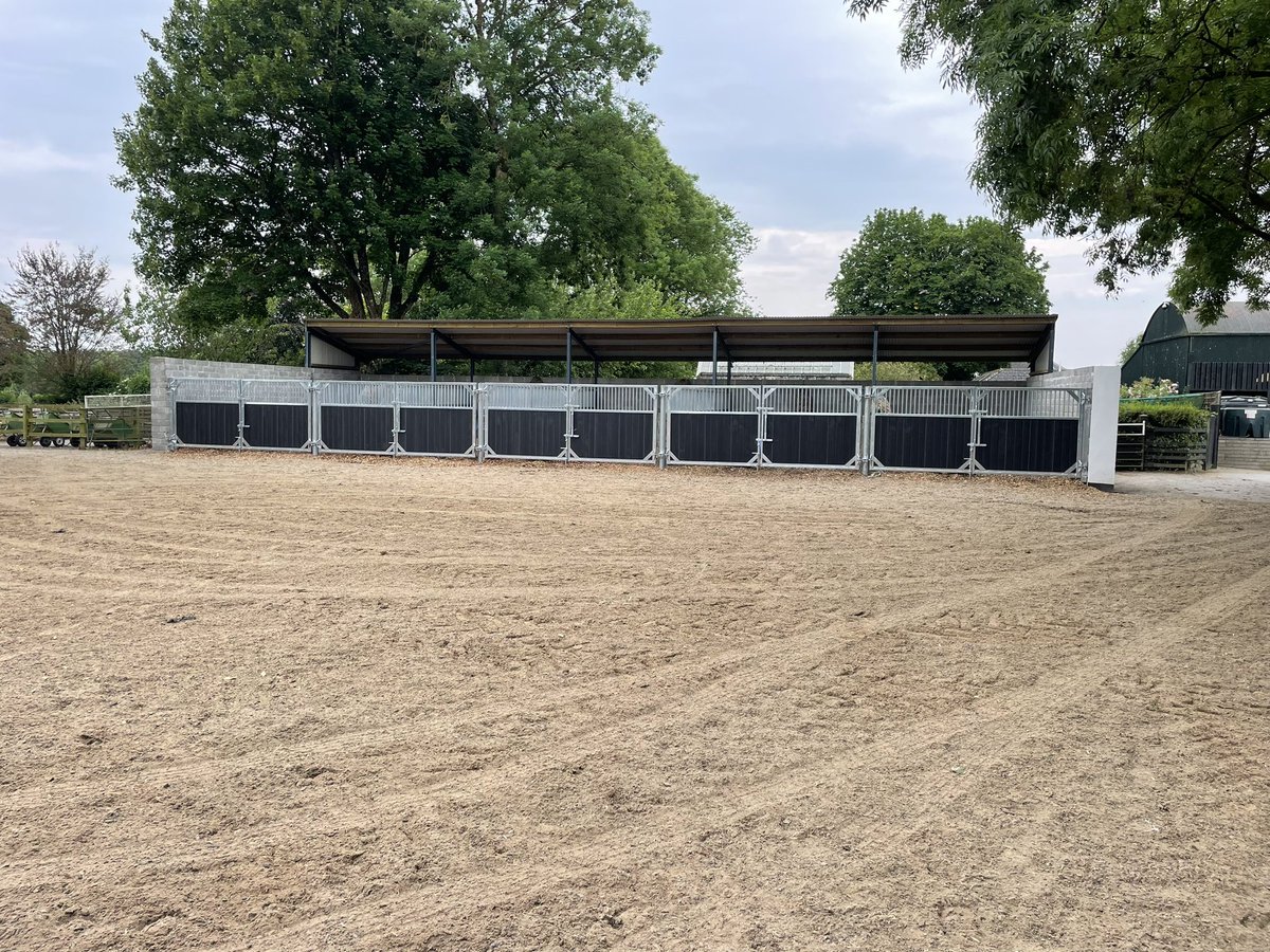 Equine Engineering tweet media