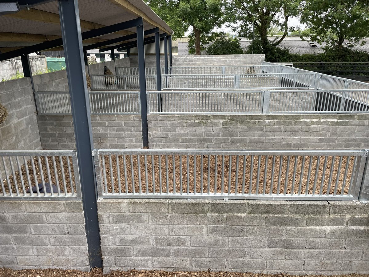 Equine Engineering tweet media