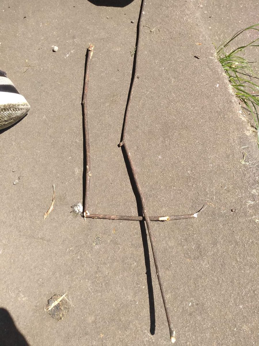 BailPreschool's tweet photo. 🔢 making numbers 🔢

This clever little bee made the numbers 1, 7 and 4 at the Green today using sticks that he found!!

Great job!

#bailgatepreschool #bailgatebees #30dayswild #makingnumbers #naturalnumbers #lincsconnect https://t.co/uFwjycxeii