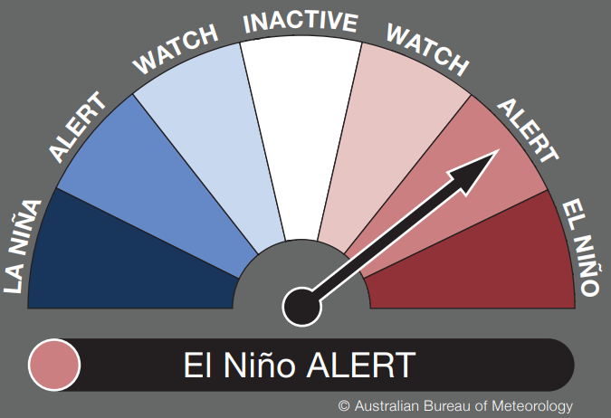 WandileSihlobo's tweet photo. South Africa has had four seasons of La Niña induced heavy rains from 2019/20 to 2022/23. These above-normal rains supported agriculture leading to higher yields across various field crops, fruits and vegetables. The livestock industry also benefitted from improved grazing pasture. Importantly, having four consecutive La Niña seasons was an unusual occurrence.

The typical cycles are two seasons of higher rainfall followed by normal-drier seasons.

Excluding the current trend, the only other period in the recent past with three successive years of conducive weather conditions and a large crop harvest ran through 2007/08, 2008/09, and 2009/10 production seasons. This period brought a sizeable agricultural yield to the country.

But there is now a shift from a prolonged period of La Niña to El Niño.

This weather phenomenon would bring below-normal rainfall and hotter temperatures in South Africa (and across Southern Africa). If it is intense, this could resemble the bleak agricultural conditions we witnessed during the last El Niño drought in the 2015/16 season, where staple crops such as maize dropped to 8,2 million tonnes, well below South Africa's consumption levels of 11,8 million tonnes.

This shortfall necessitated imports of maize to supplement domestic needs. Other field crops, fruits, vegetables and livestock also experienced severe losses.

But I doubt things will be this bad. Also, the soil moisture remains reasonably favourable across South Africa following good rains, which should cushion farmers.

Thus, I remain optimistic that the 2023/24 agricultural season in South Africa should be okay, although crop yields could drop considerably from the levels of the past few years.