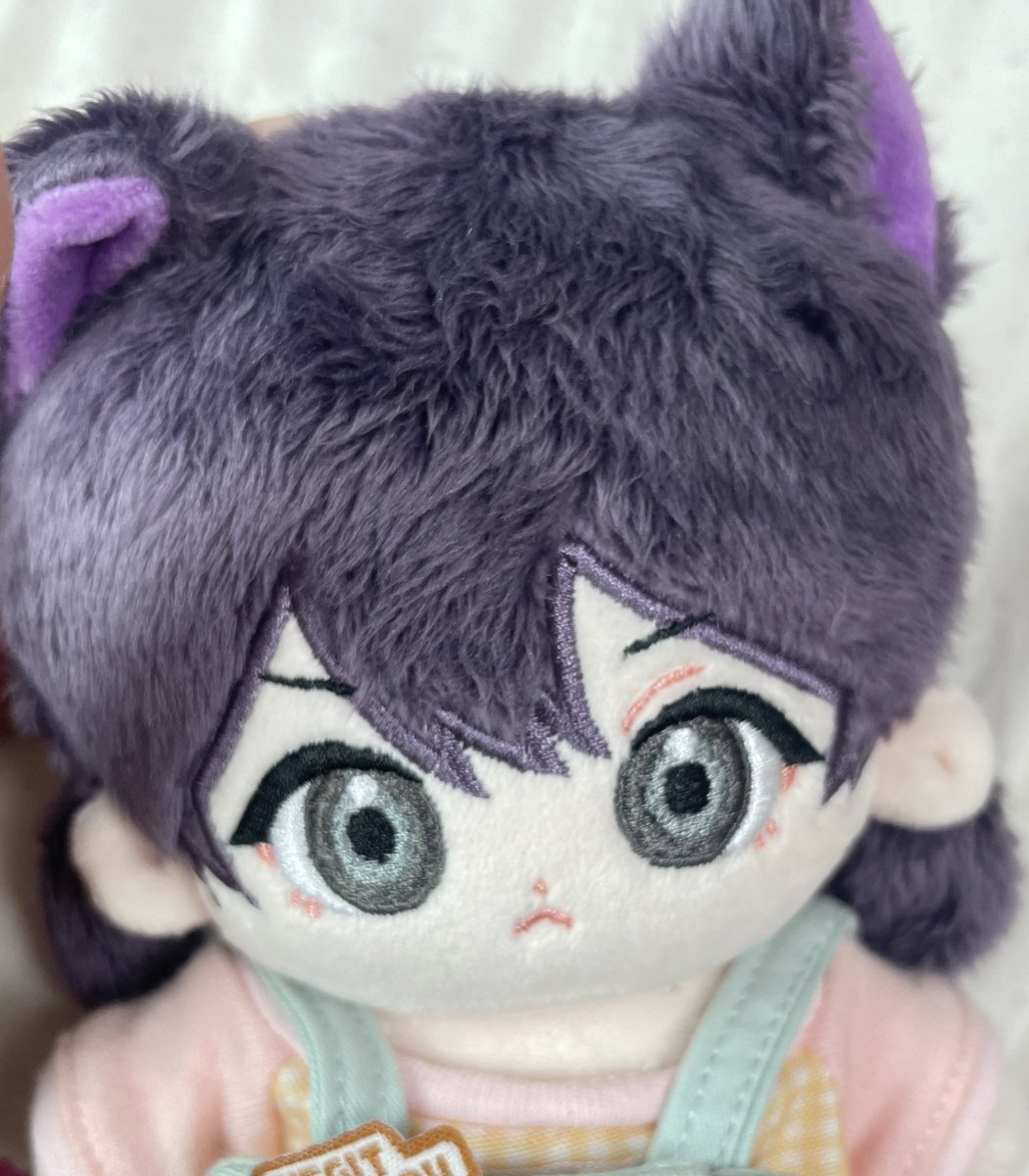 ONEWE15cmdoll's tweet photo. 공장이 몽실후니 귀를 철사로 만들어준 덕분에 강아지 말고 토끼로도 가능합니다! 

몽실뀩이는 딱히 수정할 부분이 안보여 그대로 복제예정입니다🐱💙 (귀여워요) https://t.co/mMAWbLutTW