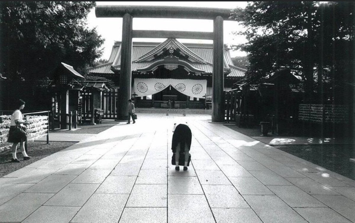 syX58GaA8J7gRYu's tweet image. 東京・白百合学園はキリスト教系の学校ですが、ヨハネ・パウロ2世が訪れた時、生徒が法王に「通学路に靖国神社がありますが、どうすればいいですか?」と質問しました。法王は「頭を垂れて通りなさい」と。それ以降、白百合学園の生徒は、靖国神社に向かって頭を下げるようになったということです。
