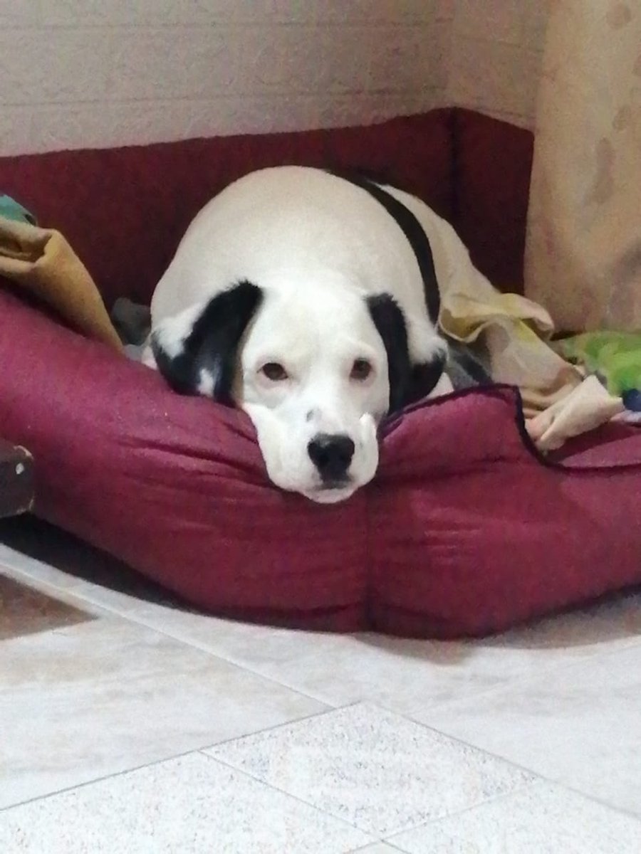 JNSG__'s tweet photo. La que tuitea//Mi bendi https://t.co/VodTkjybwN
