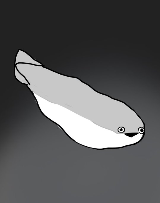 最近流行りのこの魚も好きだけどこの鳥も好き