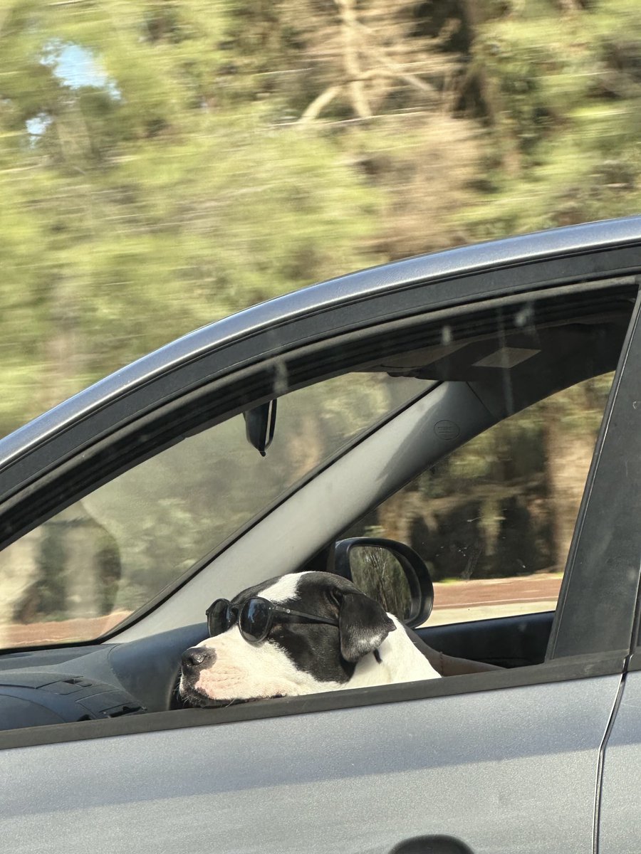 Antmeehan's tweet photo. Just cruisin’ ⁦@BellTowerTimes⁩ https://t.co/h2BoGWFhBm