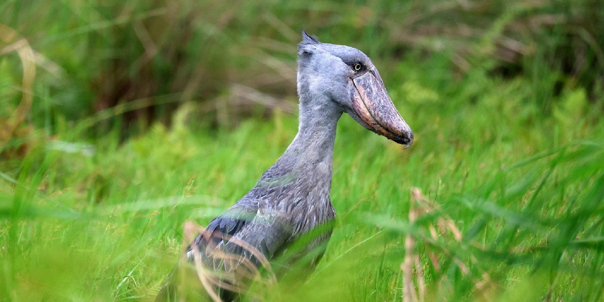 Flow Travel tweet media