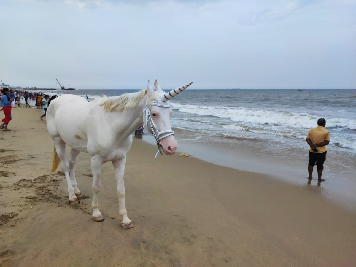 R_iya03's tweet photo. #unicornspotted भारतीय यूनिकॉर्न बनने के लिए क्या क्या चुनौतियां और अवसर होते हैं? और लेटेस्ट इंडियन यूनिकॉर्न की ग्लोबल एक्सपेंशन प्लान क्या है? https://t.co/dKiCHb5tcp
