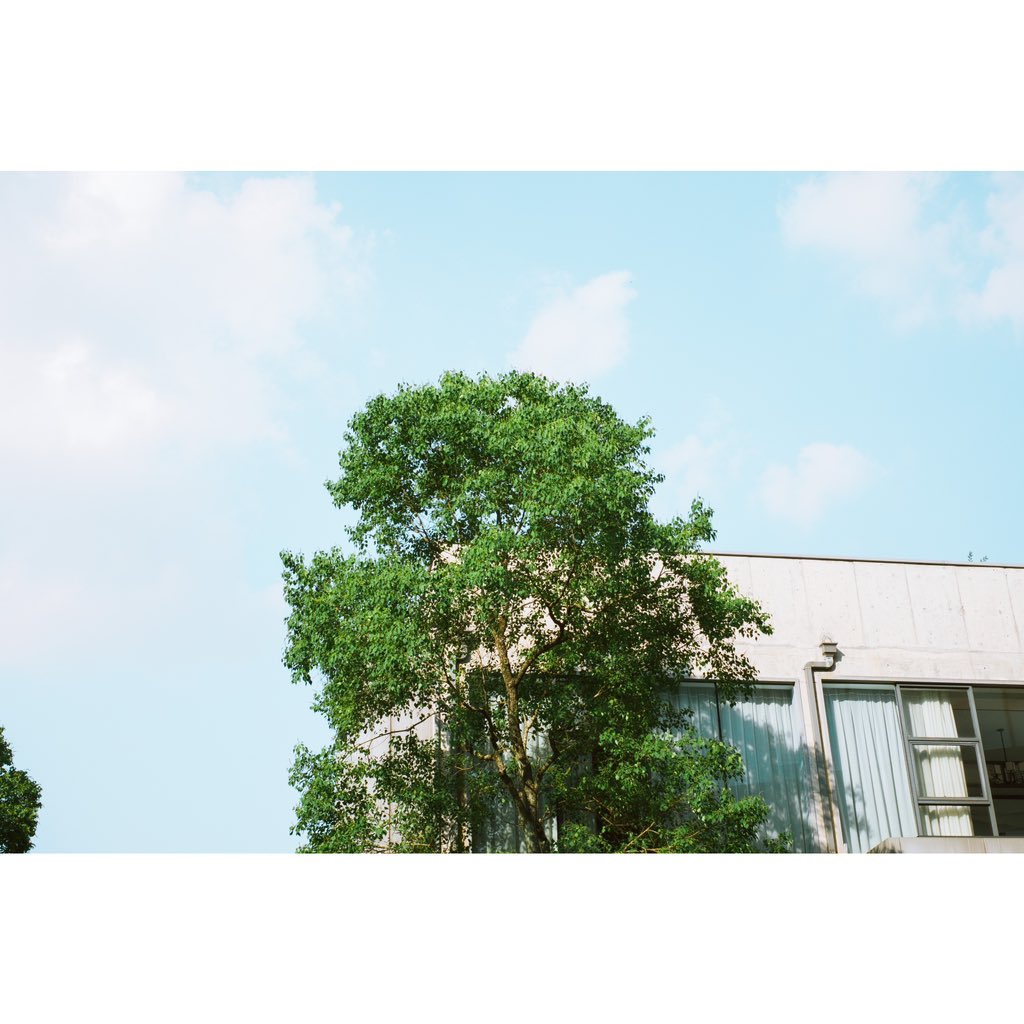 KUGQS172's tweet image. #streetgraphy📸