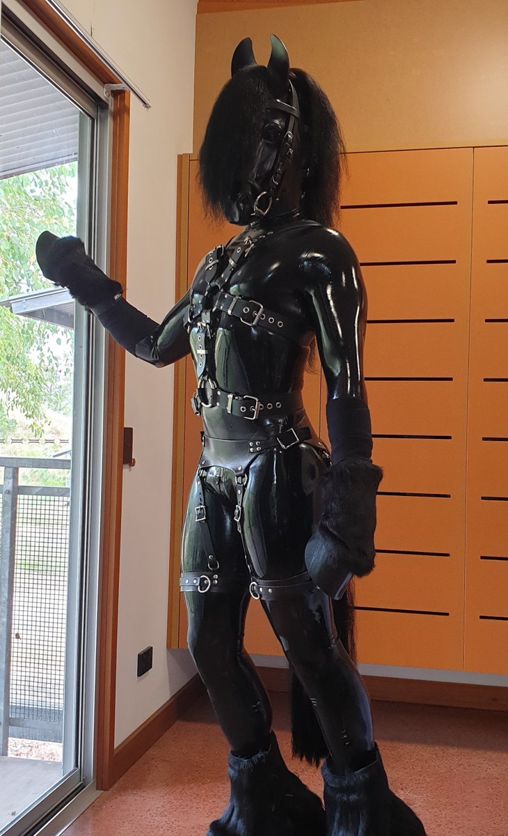 Self-commissioned, because there is more than one type of canvass upon which you can create.

#BDSM #ponyplay #ponyboy #latex #humanhorse