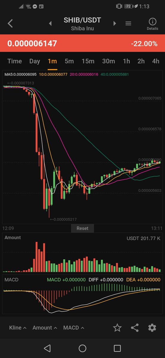 What happened to shiba inu?