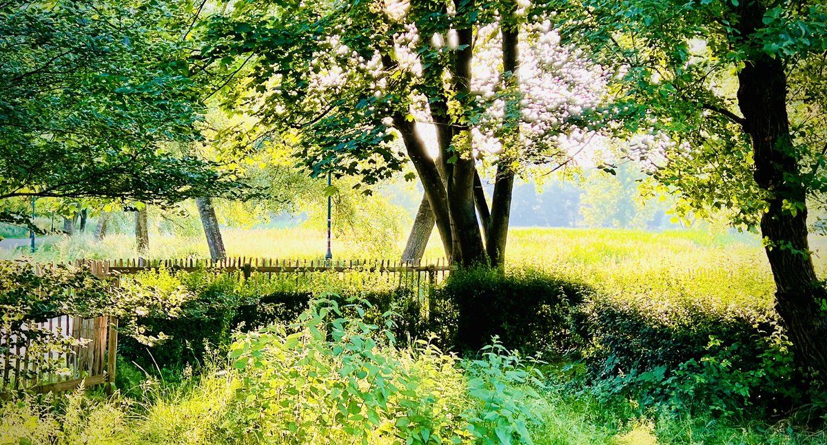 larsling's tweet image. Good morning from #brussels @cleantechregion #newnordic #cleantechshowcase