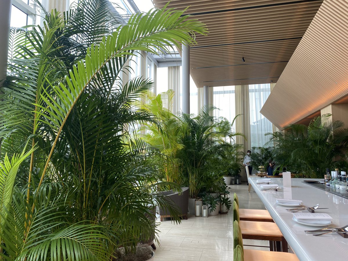 bankernoonesan's tweet image. 東京エディション虎ノ門にアフヌンしに来た☺️☕️🍰✨
ボタニカル空間が素敵🌿

#東京エディション虎ノ門