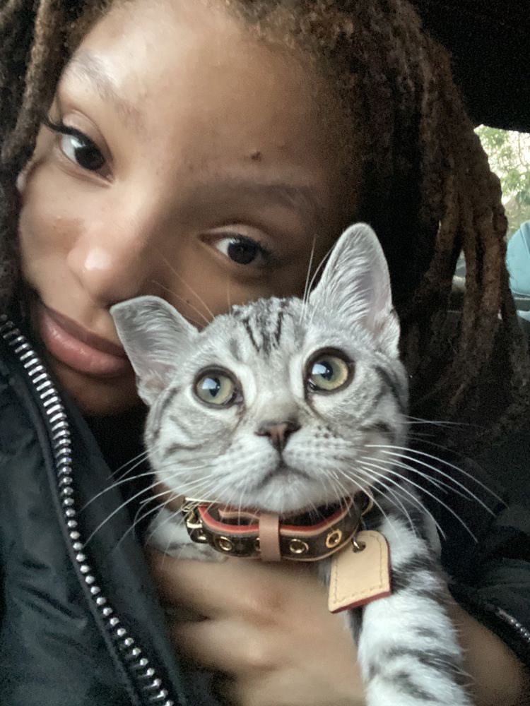 🇪🇷 tweet media