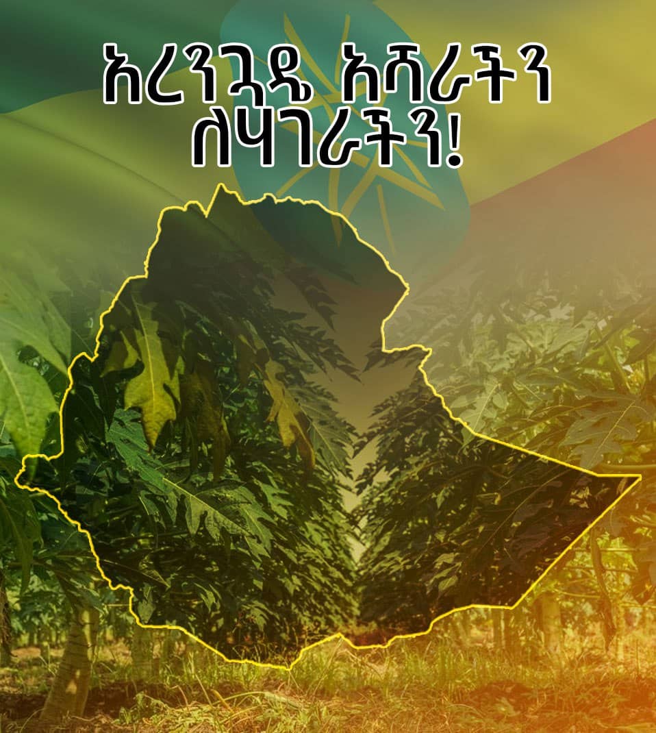 aa_prosperity's tweet photo. እናሳካለን ‼
በ7 ዓመታት 50ቢልዮን አረንጓዴ ልብስ በዓለም ትልቁ ምድርን የማልበስ ፕሮግራም፤ ዘንድሮ 31 ቢልዮን እንደርሳለን፤ በቀጣይ 3 ዓመታት መጨረሻ ደግሞ 50ቢልዮን እንደፍናለን።ነገን ዛሬ እየተከልን ኢትዮጵያን በ50ቢልዮን ዛፍ እናለብሳለን። https://t.co/mNHGnPf8cJ