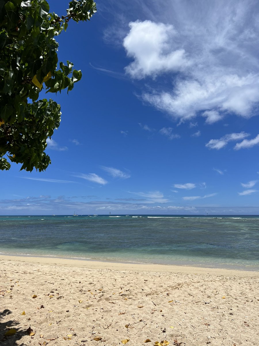amity_breck's tweet photo. Hi, Hawaii 🥹🌺 https://t.co/MUNJOV2WKD