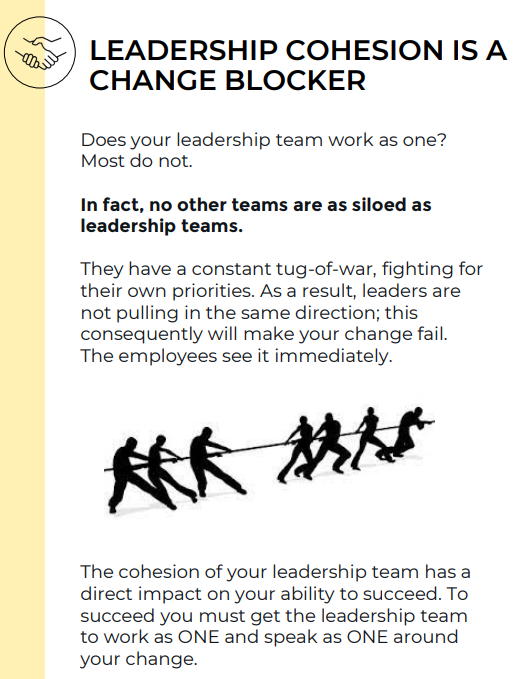 The Danish group <a href="/InnovisorInc/">Innovisor</a>  has identified "6 change blockers" based on analysis of networks/influence/change with organisations in 70+ countries. The 6 blockers are: 
1) Leadership cohesion - leadership teams are more siloed than any other kind of team
2) The fragmentation