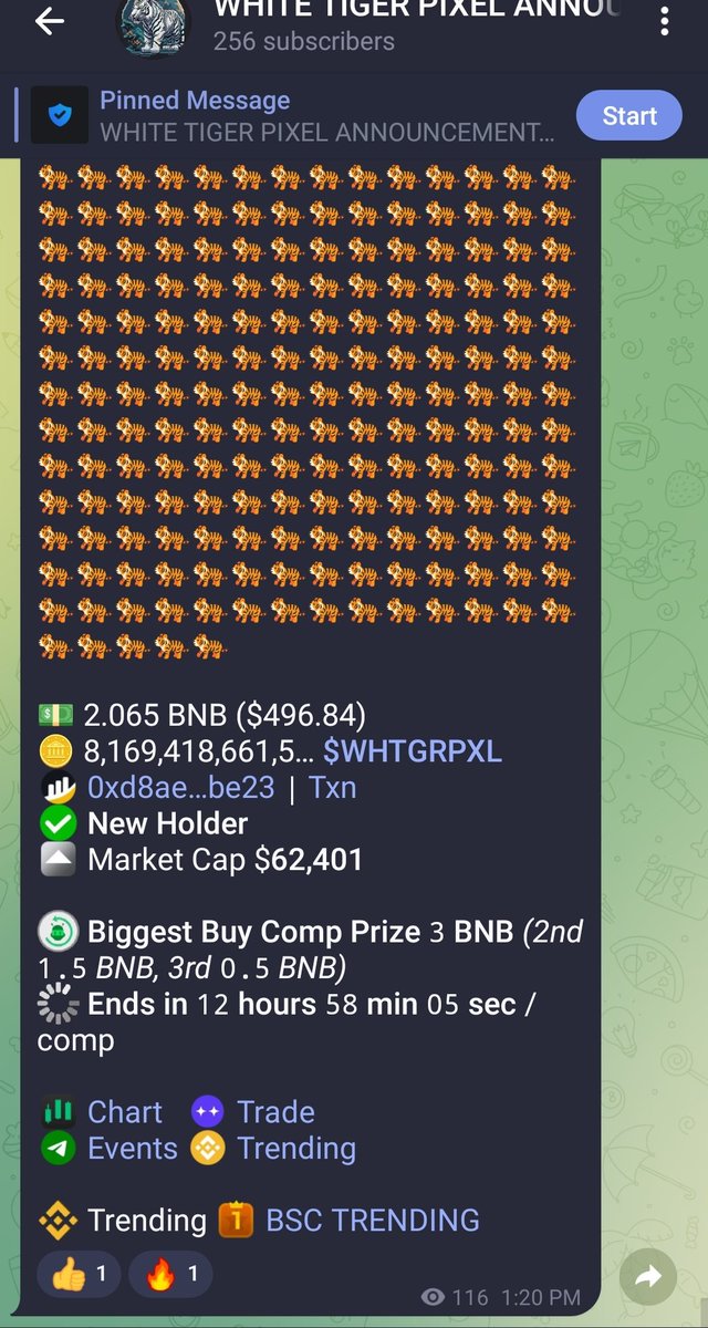 WHITE TIGER PIXEL tweet media