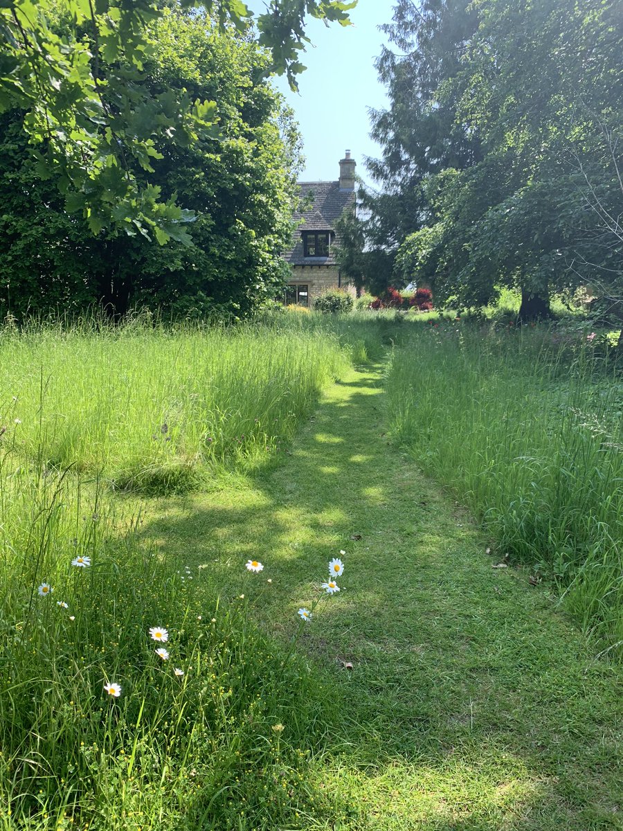 A stunning garden spotted while out walking recently. Lawns like billiard tables are so yesterday, aren’t they? #MakeSpaceForNature