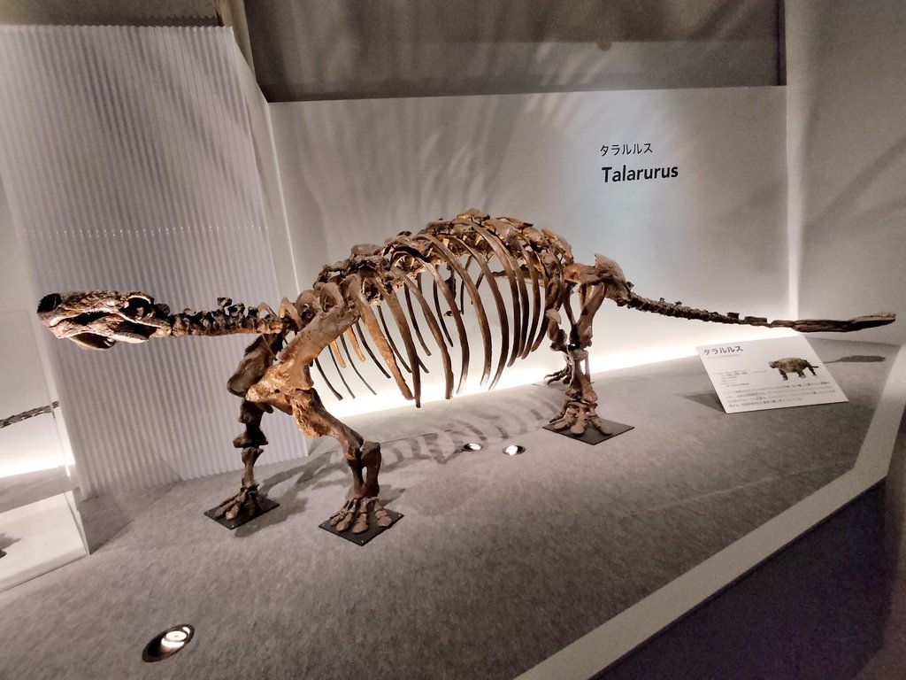 Basilo_tyrannus's tweet photo. #恐竜博2023
#タラルルス
#Talarurus https://t.co/BwIre6WoAe