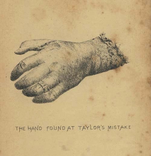 Dr Chelsea Nichols tweet media