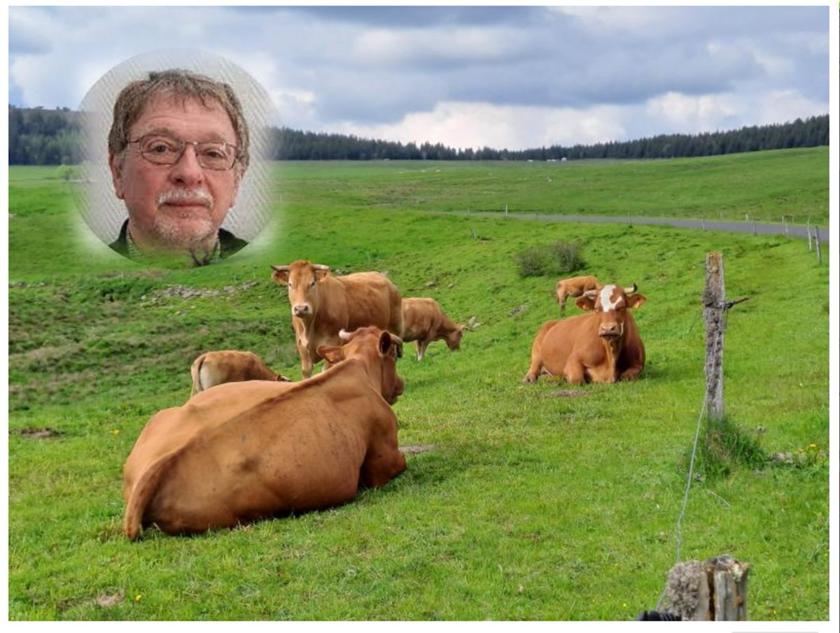 « Il n'y a pas de prairies sans les ruminants »
Jean-Louis Peyraud, le scientifique de l’INRAe, a affirmé le rôle essentiel des ruminants, notamment à travers la prairie. Une analyse qui sonne terriblement juste alors que les préjugés vont bon train…
sco.lt/5yvPkG