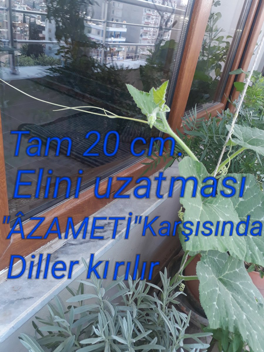 HseyinO11368781's tweet photo. https://t.co/ZZiyKm7vEw