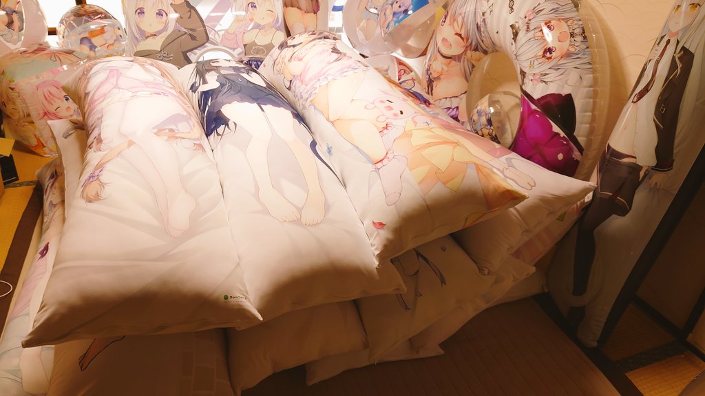 In all, there are about 13 dakimakura!