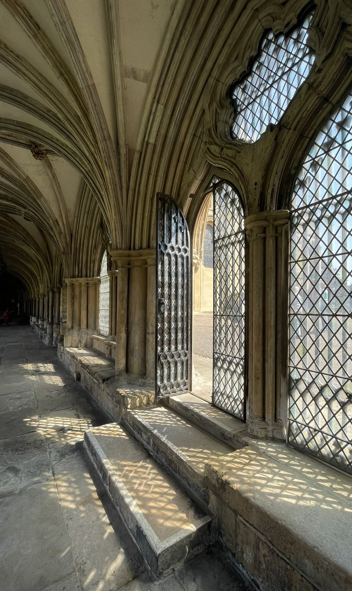 Yesterday my first day out in Norwich, let @BitternLine take the strain and a pleasant experience it was too. My first view of the cathedral (left) what a breathtaking building! (No sign of Budge).
@Nrw_Cathedral @BudgeofNorwich 
@Norwich_Chris @VisitNorwich