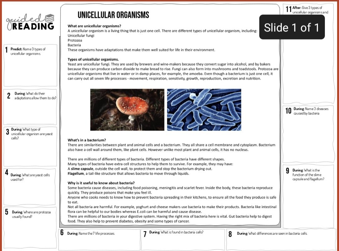 Millfieldhighsc's tweet photo. Next week's academic reading will be in science. Students will be reading about unicellular organisms.
#TeamMillfield 
#BeExceptional https://t.co/oXjuDka9uH