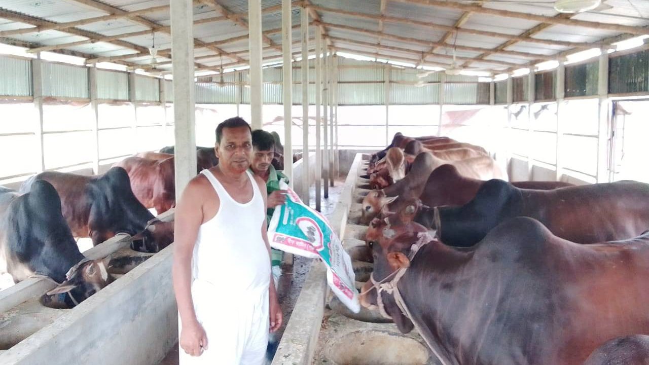 খামারে সফল সাবেক ইউপি চেয়ারম্যান