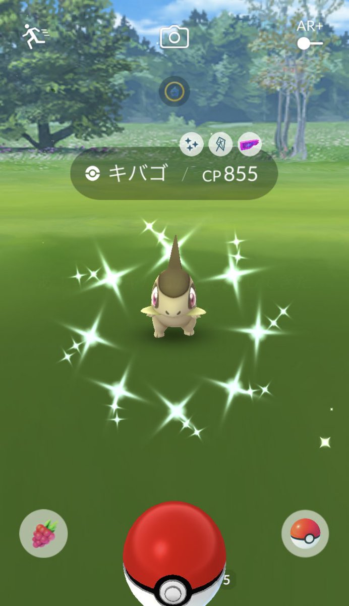 pokemongo_c's tweet photo. やっと1匹。残りも頑張ります、、、 https://t.co/D14bz9M4dR