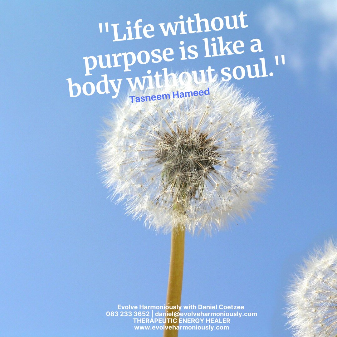 'Life without purpose is like a soul without soul.'  

evolveharmoniously.com
#lifepurpose #purposefullife #direction #focus #clarity #inspiration #inspirationalquote #dandilion