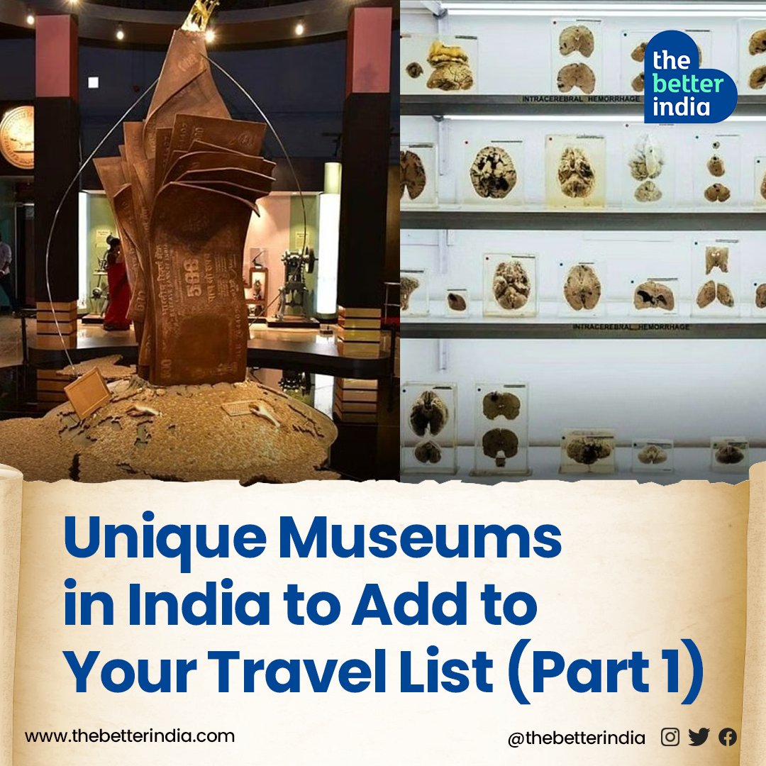 thebetterindia's tweet photo. From the #brainmuseum in Bengaluru to a museum made entirely of money, India's uniqueness always amazes us. So, here's a list of unconventional museums in the country that will surprise and educate its visitors.
#IndianMuseums #Travel #Tourism #IncredibleIndia https://t.co/aPaIIIyecP