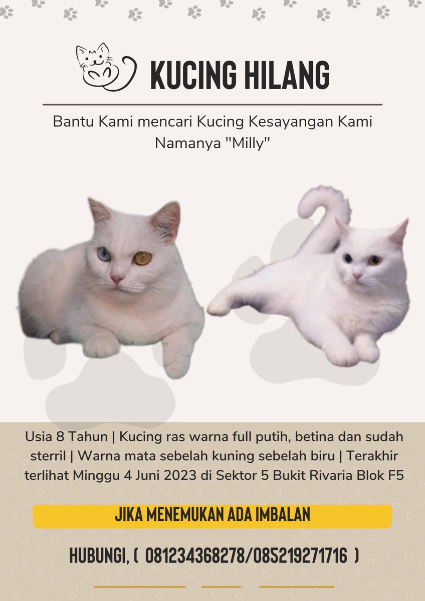 hanihnr's tweet photo. @kochengfs Mnta tolong ya Min, kucing hilang di Bukit Rivaria Sawangan Depok, mohon bantuannya semuanya.. https://t.co/JjCutndoMl