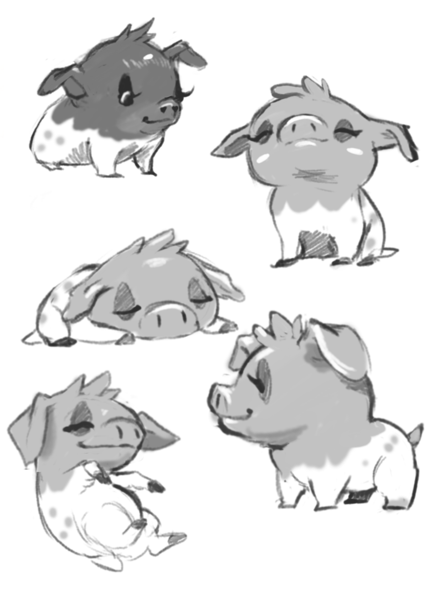 Truffle Pig