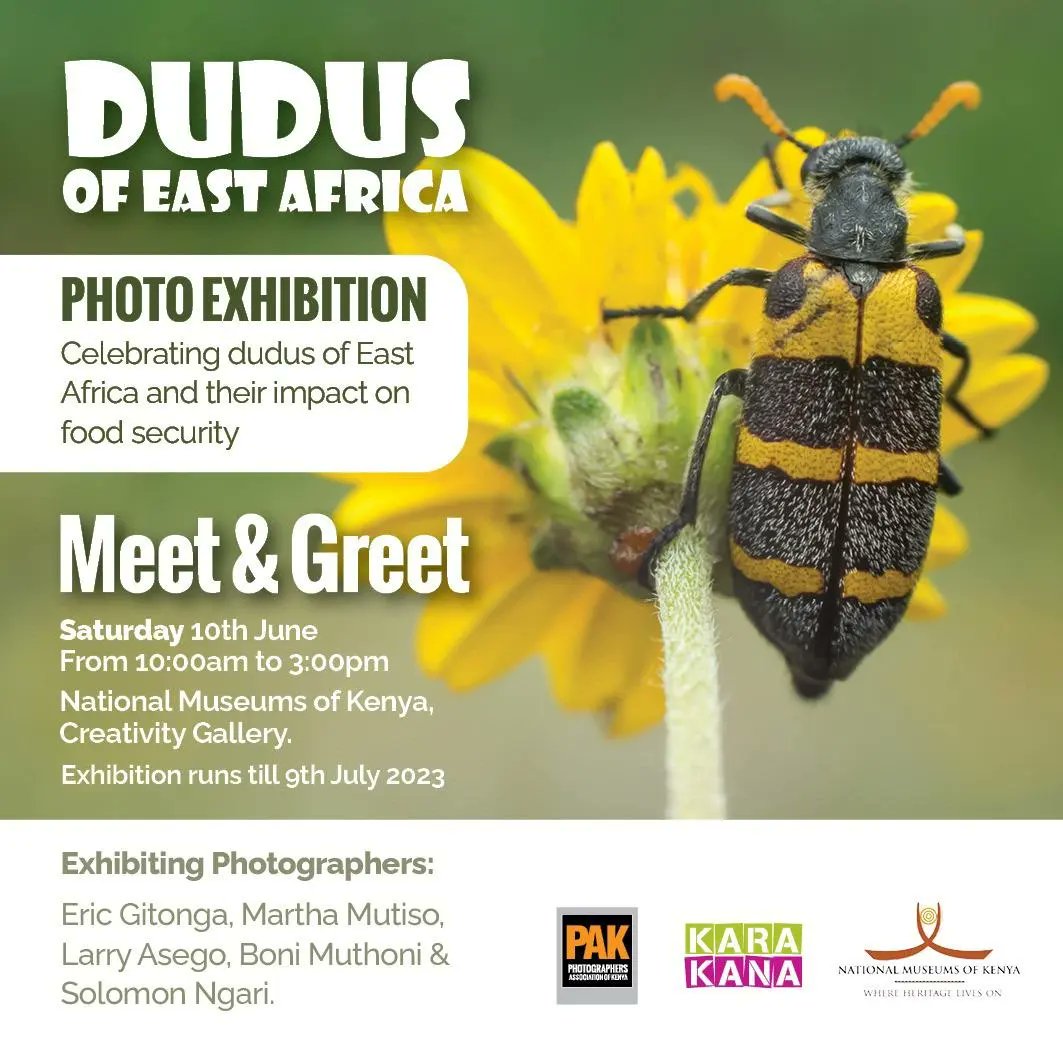 Kenya Museum Society on Twitter: 