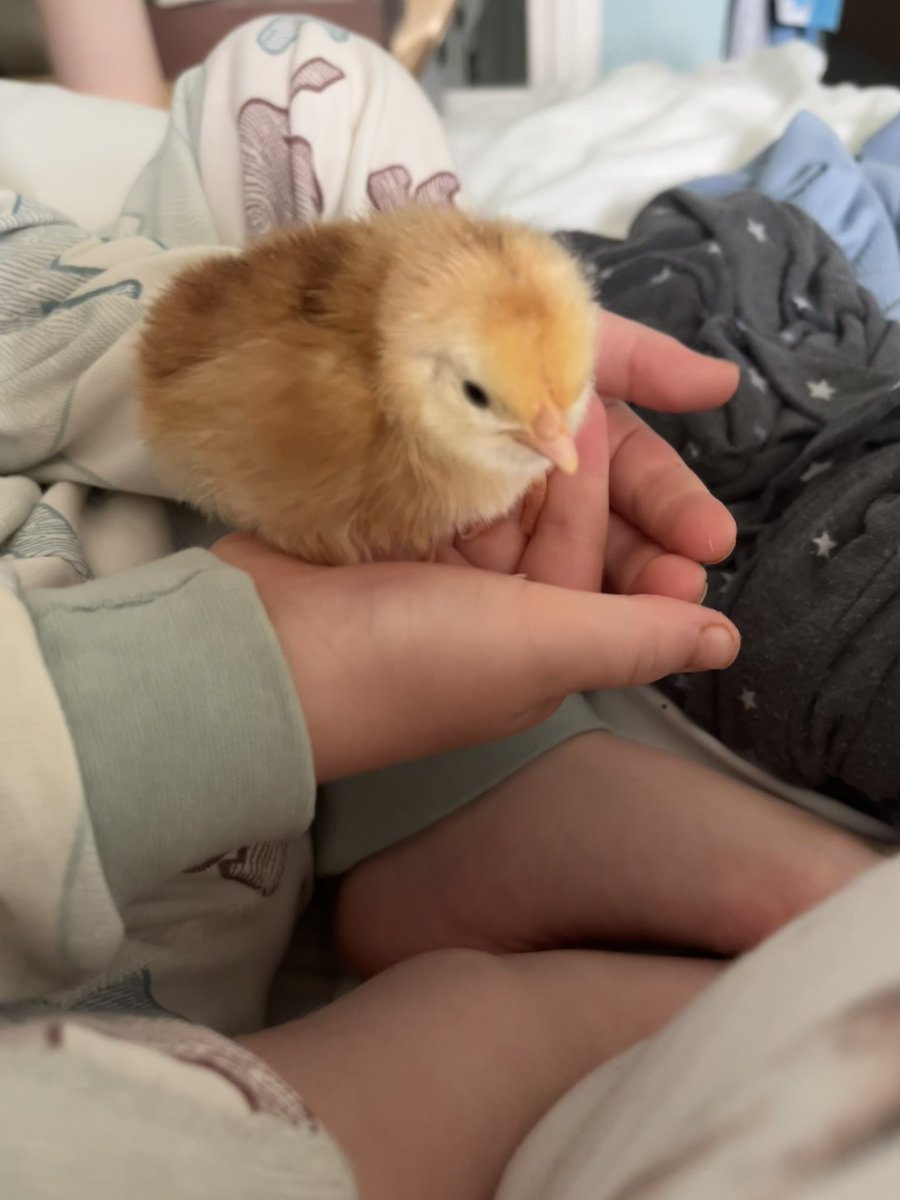 All fluffed up 😍