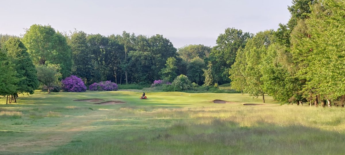 Course set up and looking great for captains day. <a href="/wakefieldgolf/">Wakefield Golf Club</a>