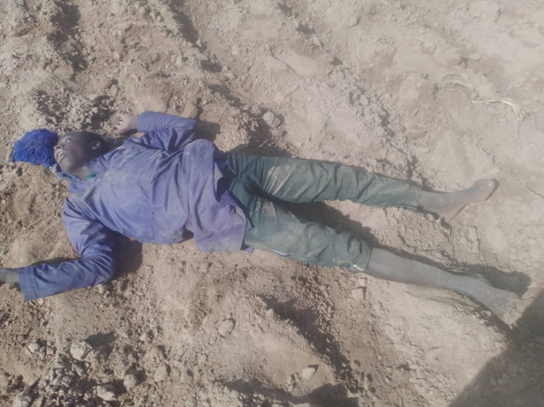 defencemediaops's tweet photo. Troops of Operation Forest Sanity Neutralize Terrorists, Recover Arms and Ammunition in Kaduna State https://t.co/UAmNRnseq0 https://t.co/BD2NVD1plL
