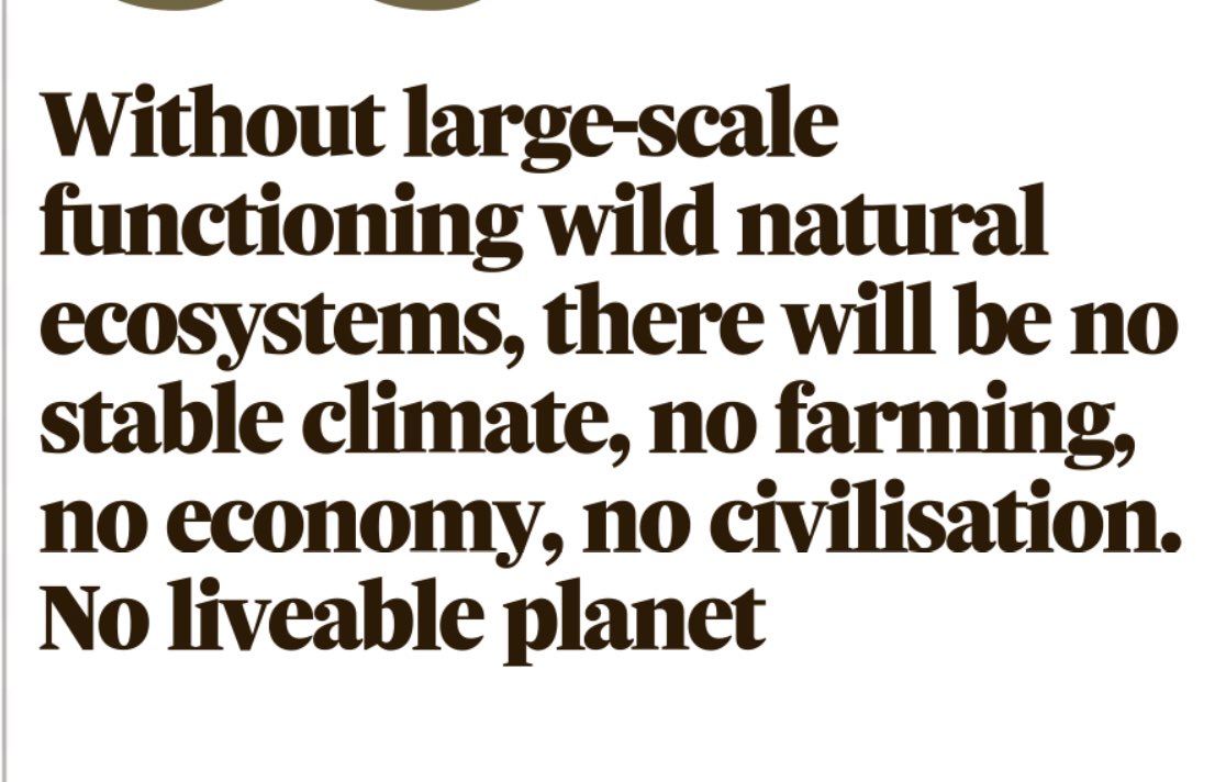 Coastal Concern Alliance (@coastalconcern) on Twitter photo Pleas for increased impetus to protect Ireland’s nature made on a daily basis. <a href="/IrishRainforest/">Eoghan Daltun 🌍</a> adds his voice <a href="/IrishTimes/">The Irish Times</a> today. Not an optional extra in the fight to stabilise climate. Healthy functioning ecosystems r essential. <a href="/LeoVaradkar/">Leo Varadkar</a> <a href="/MichealMartinTD/">Micheál Martin</a> <a href="/noonan_malcolm/">Malcolm Noonan</a> Pleas for increased impetus to protect Ireland’s nature made on a daily basis. <a href="/IrishRainforest/">Eoghan Daltun 🌍</a> adds his voice <a href="/IrishTimes/">The Irish Times</a> today. Not an optional extra in the fight to stabilise climate. Healthy functioning ecosystems r essential. <a href="/LeoVaradkar/">Leo Varadkar</a> <a href="/MichealMartinTD/">Micheál Martin</a> <a href="/noonan_malcolm/">Malcolm Noonan</a>