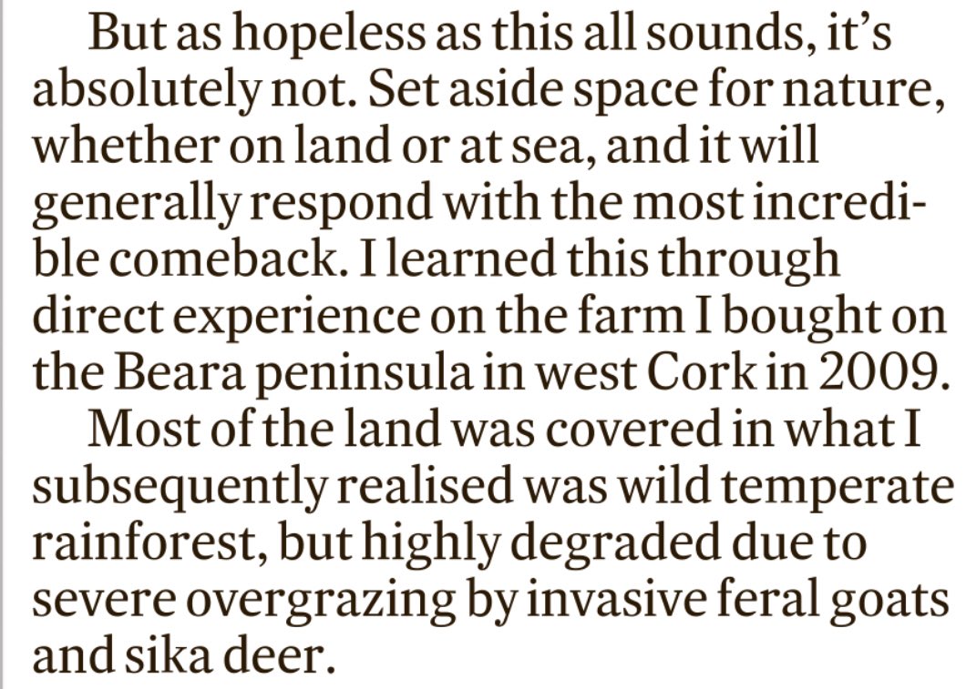 Coastal Concern Alliance tweet media