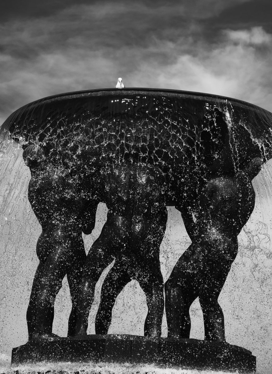 jonarnefoss's tweet photo. Tung måke ? #oslo #vigeland #sorthvit #visitoslo #norway #gustavvigeland #vigelandsparken https://t.co/6DMvO9jjjL