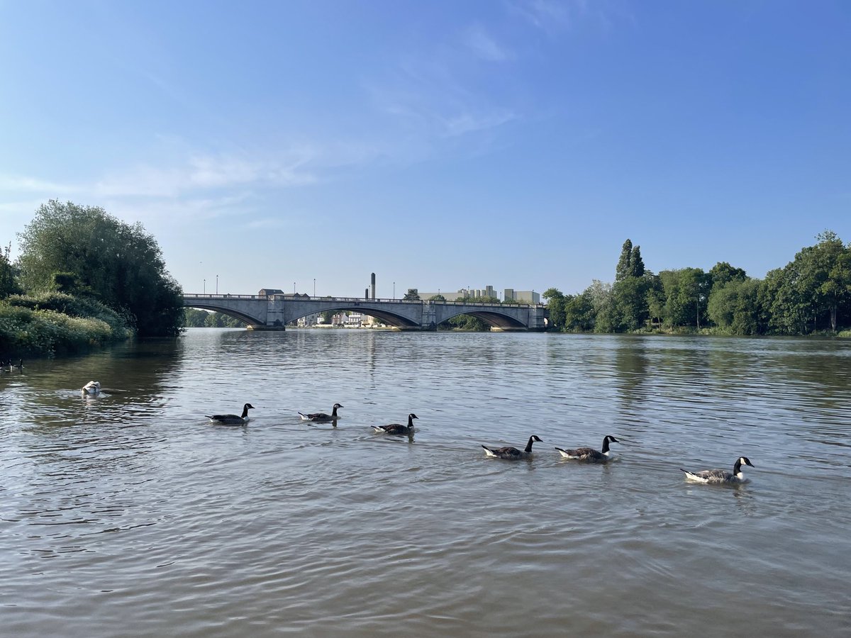 Perfect day for our sister regatta ⁦<a href="/bm_regatta/">B&M Regatta</a>⁩