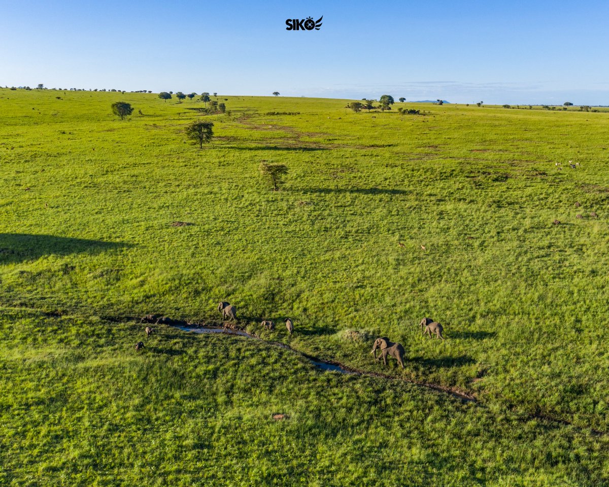Love from  Kidepo Valley National Park🇺🇬. #SikoIsHere #DronesForGood #ExploreUganda #VisitUganda
📸 <a href="/SikoConsultsLtd/">Siko Consults Ltd🇺🇬</a> 
<a href="/saadShots/">Saad Shots 📸</a> <a href="/MTWAUganda/">Ministry of Tourism-Uganda</a> <a href="/ExploreUganda/">Explore Uganda 🇺🇬</a> <a href="/ugwildlife/">Uganda Wildlife Authority</a>