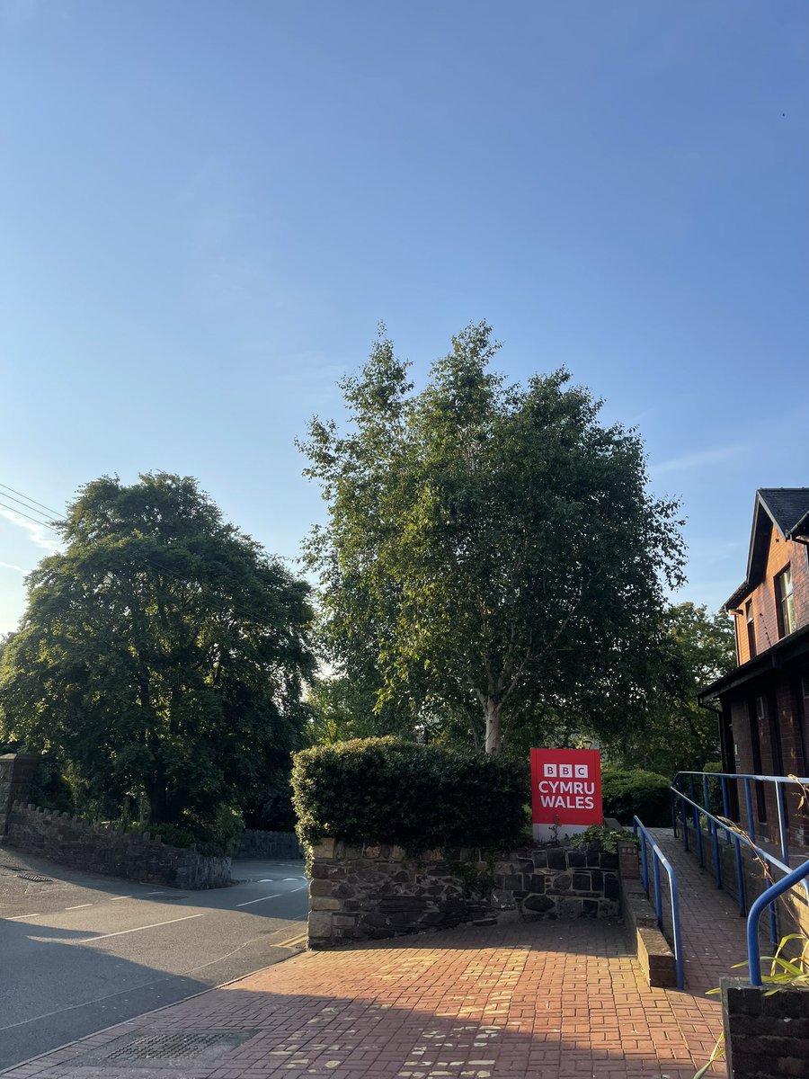 heledd elin roberts tweet media